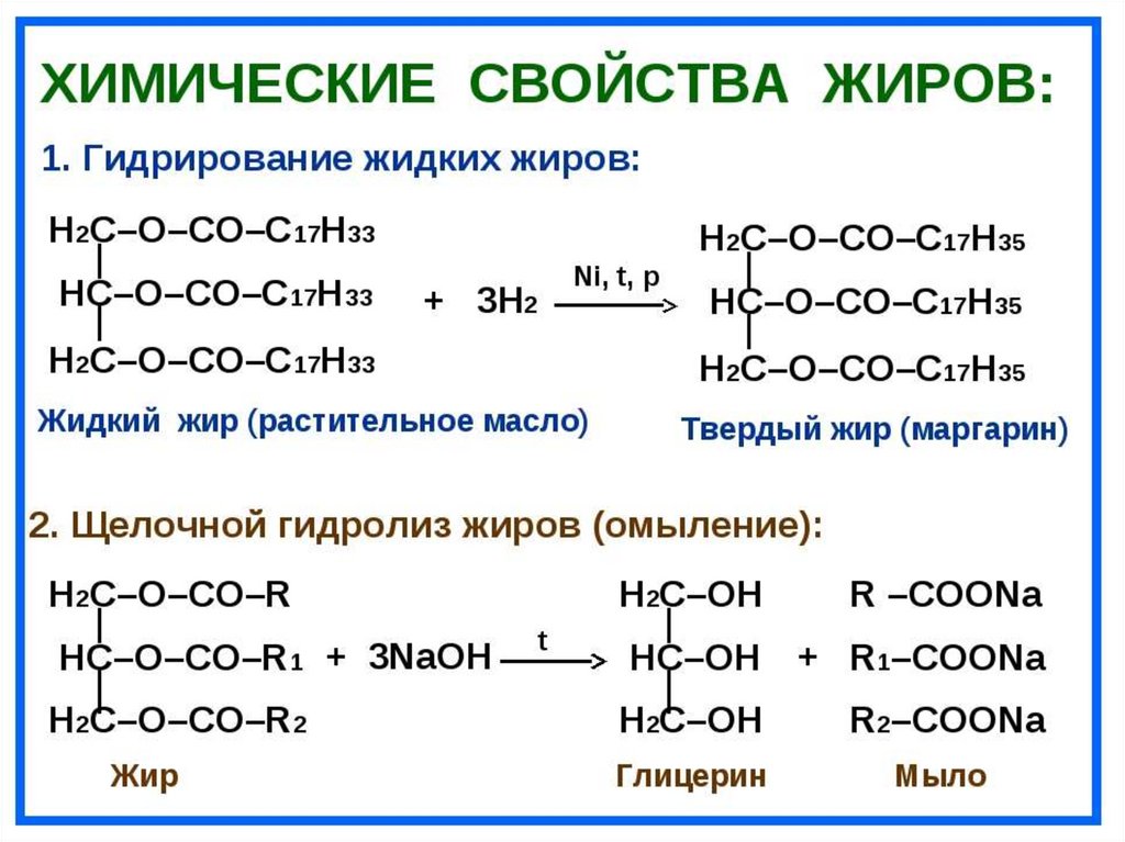 Сложные эфиры и жиры презентация 9 класс