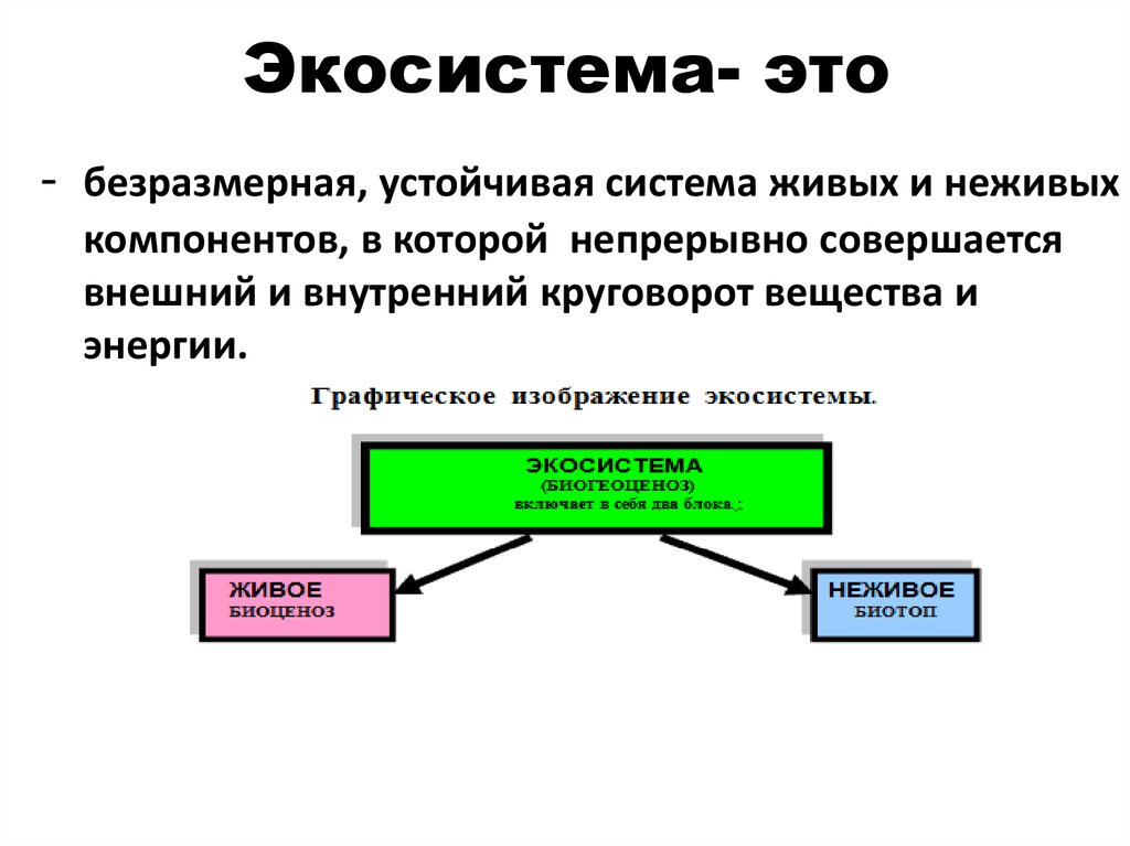 Экологическая система презентация