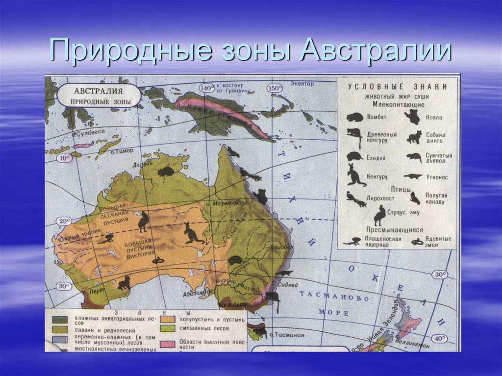 Природные зоны австралии и их основные особенности