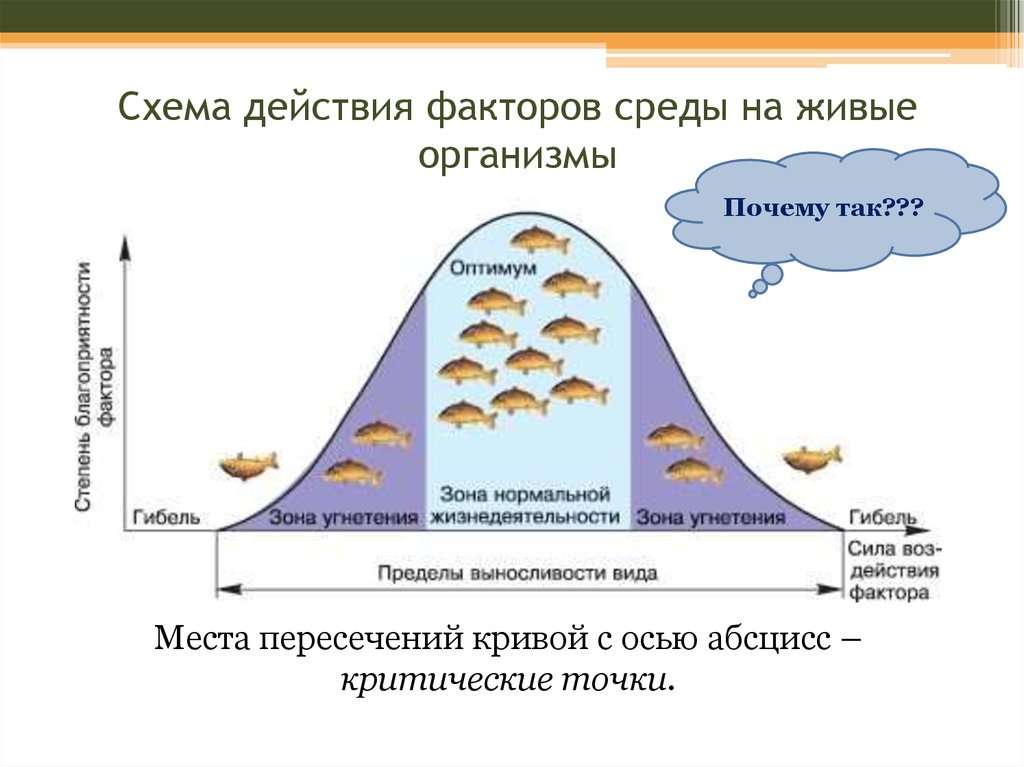 Факторы связанные с деятельностью живых организмов