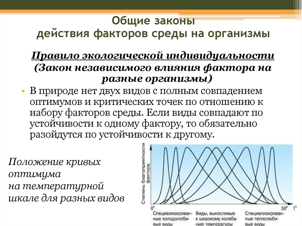 Устойчивость течения. Правило экологической индивидуальности. Правило экологической индивидуальности организма. Закон экологической индивидуальности видов. Правило экологической индивидуальности пример.