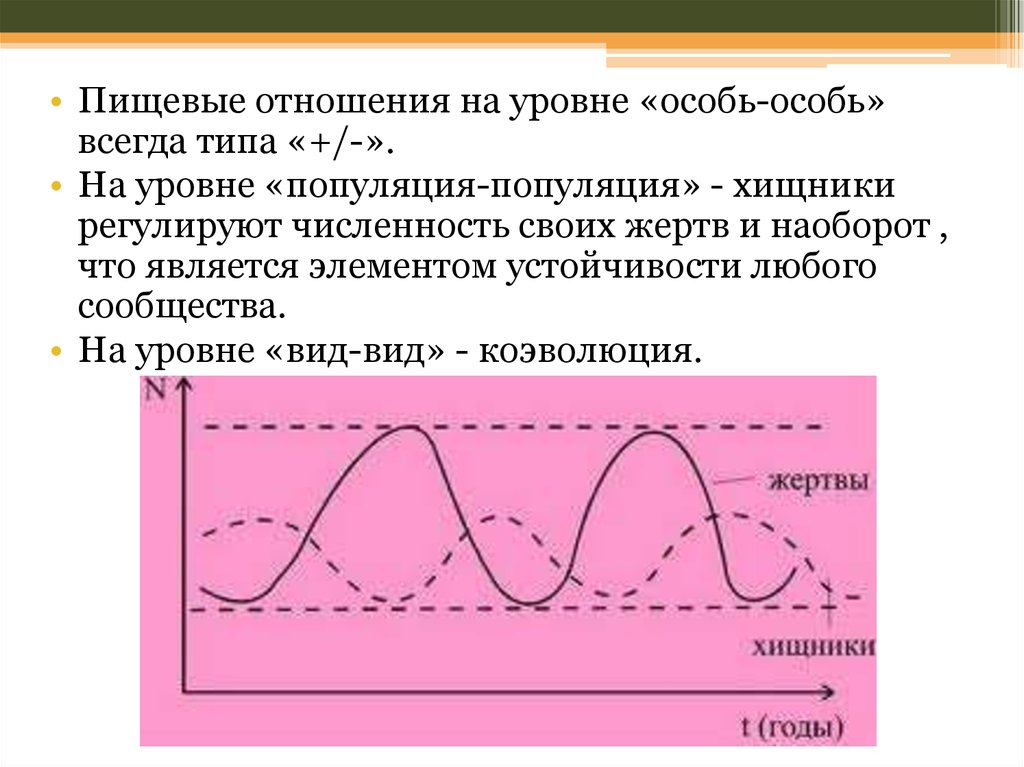 Уровень особей. Пищевые отношения. Структура пищевых отношений. Пищевые отношения примеры. Значение пищевых отношений.