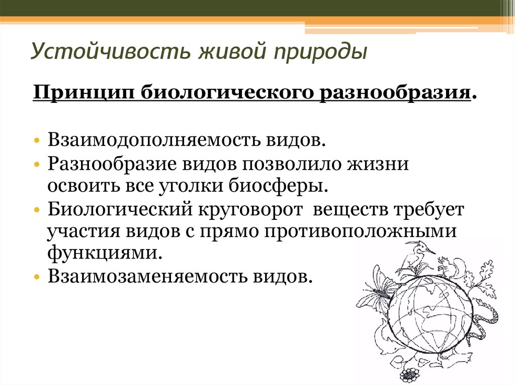 Основные законы устойчивости живой природы презентация