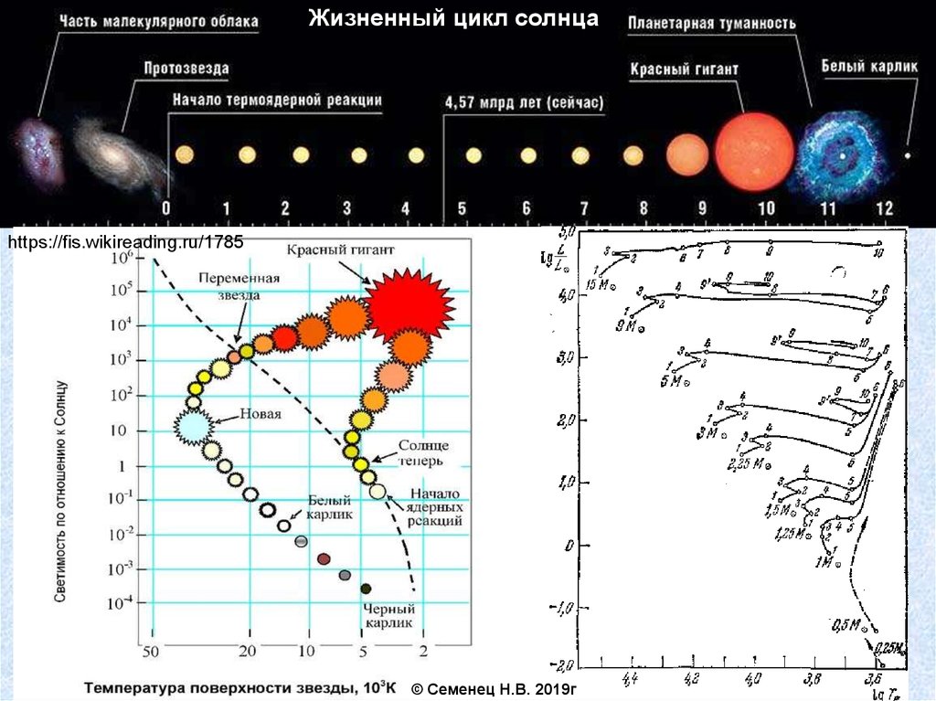 Жизненный цикл солнца фото