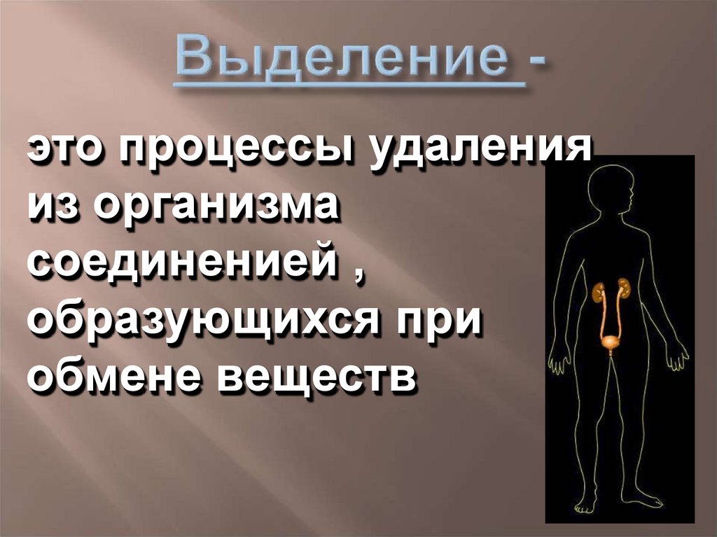 Тем выделяется. Выделение это процесс удаления из организма. Выделительные процессы происходящие в организме направлены на. Выделение это процесс удаления из организма тест. Выделительная система курильщика.