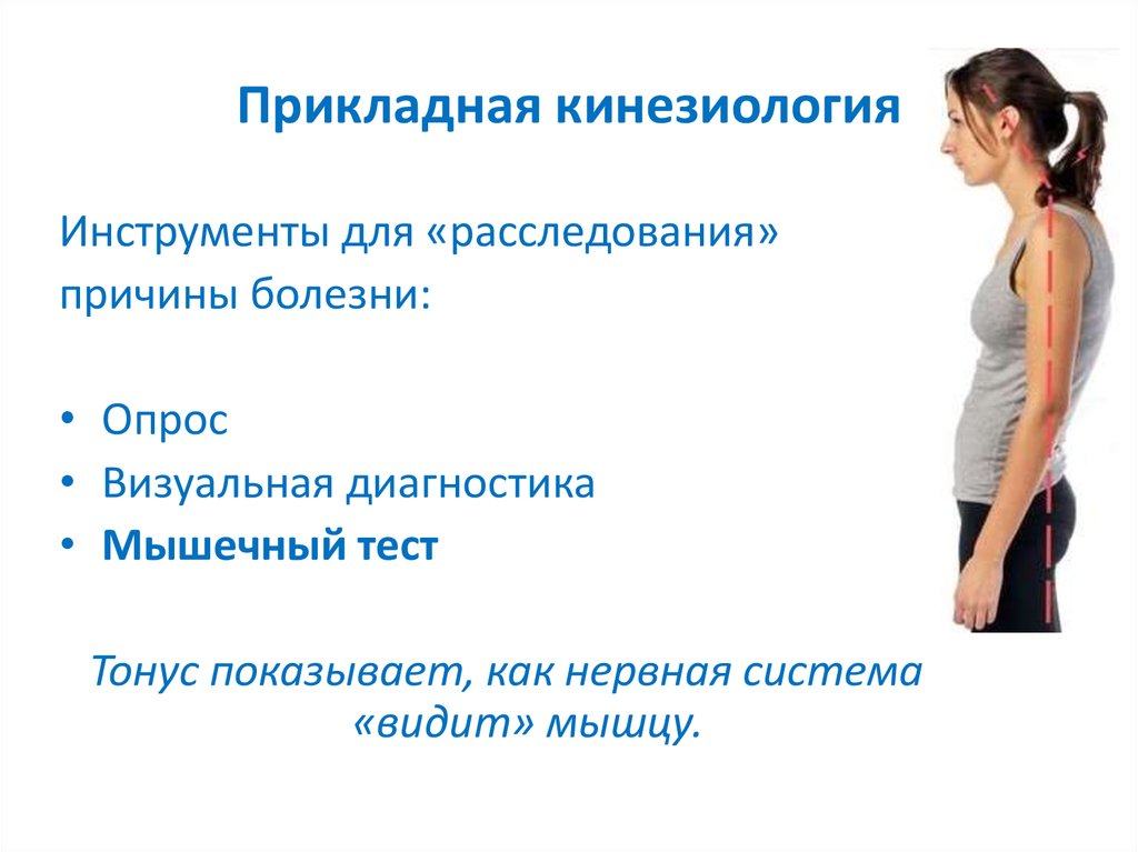 Прикладная кинезиология