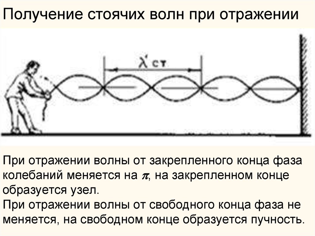 На рисунке изображена поперечная волна бегущая по веревочному шнуру скорость волны v