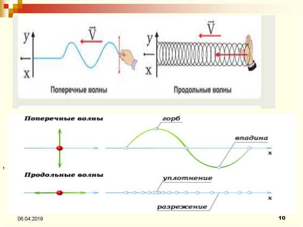 Продольные и поперечные волны картинки