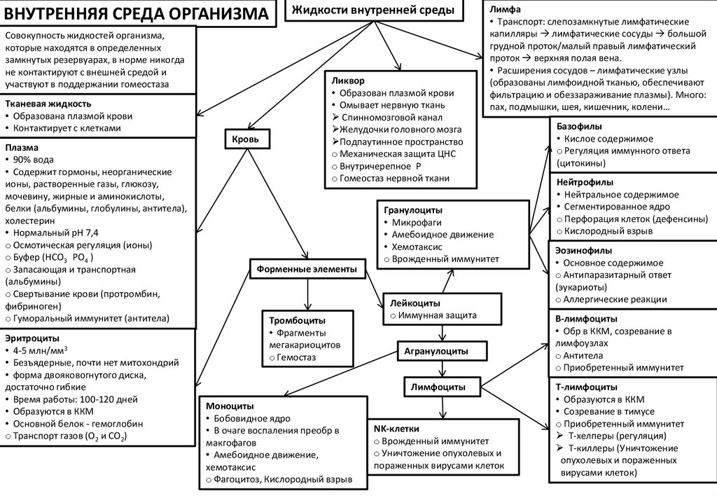 Внутренняя среда организма тест с ответами