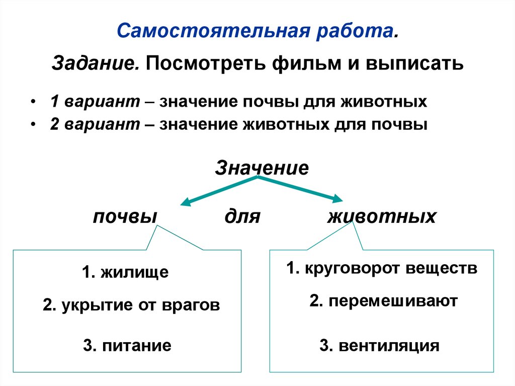 Схема значение почвы в природе и жизни людей