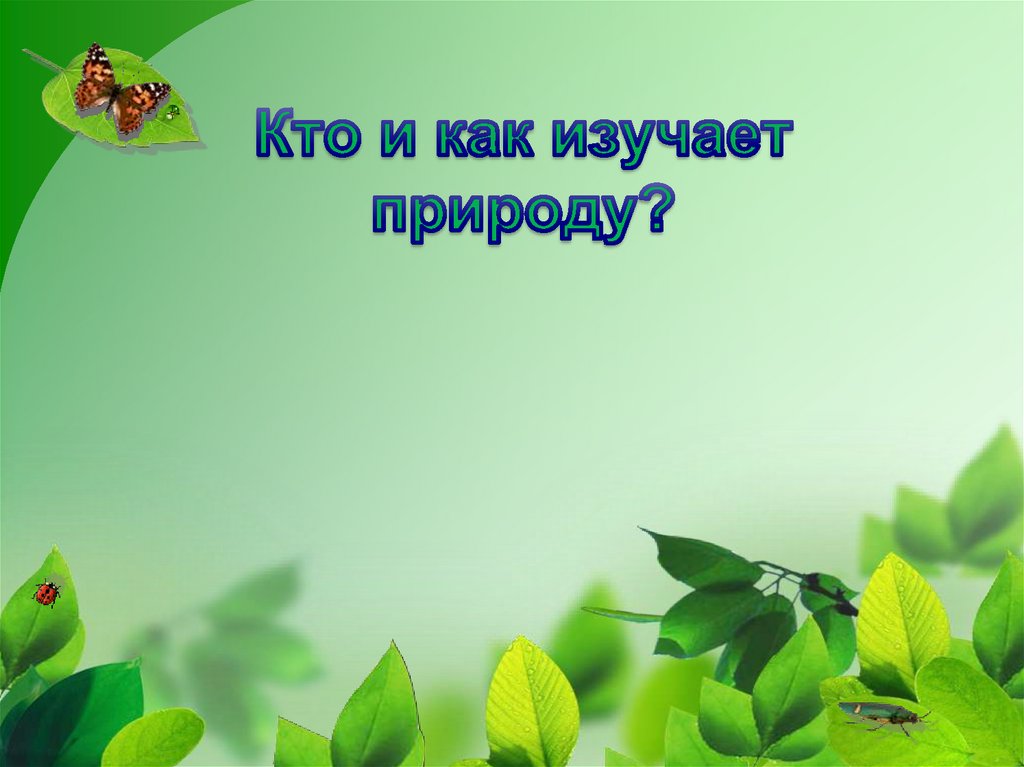 Какая природа изучает природу. Кто изучает природу. Кто по профессии изучает природу. Изучаем природу. Кружок Занимательная биология.