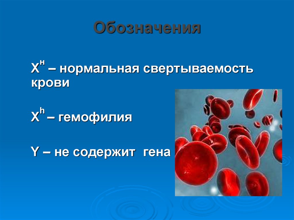 Свертываемость крови норма у мужчин