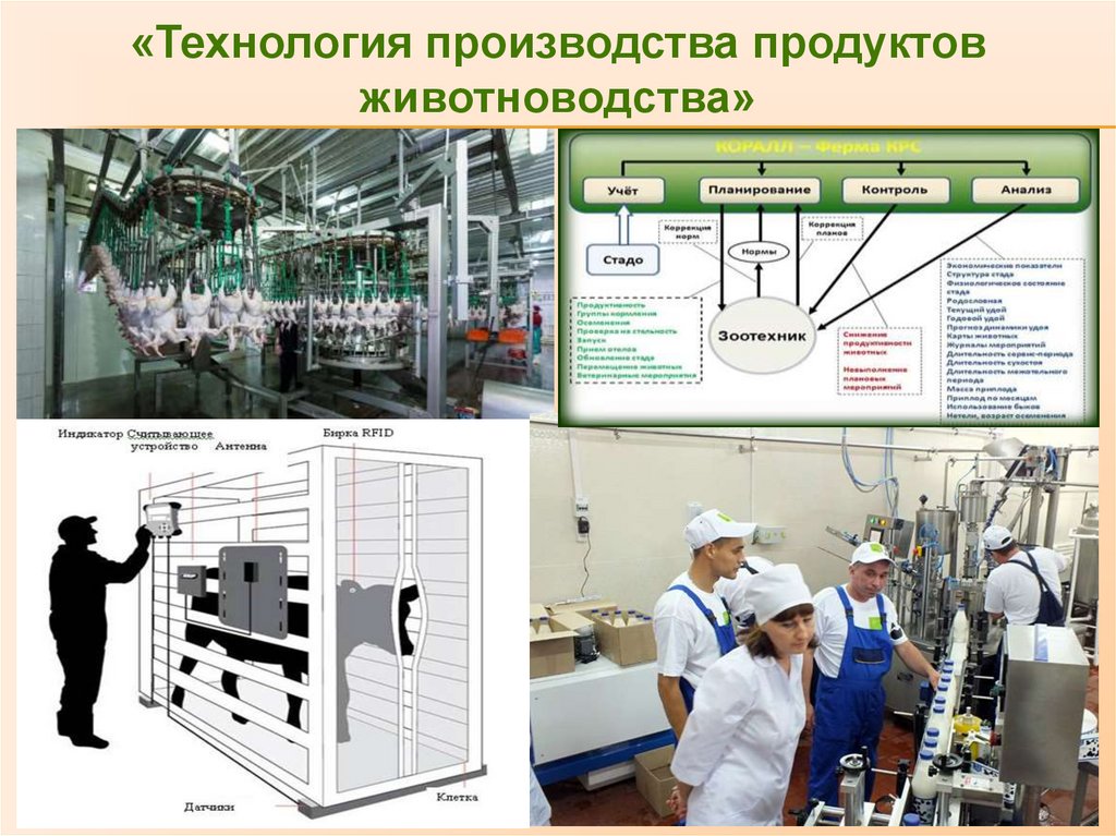 Биотехнология и ветеринарная медицина