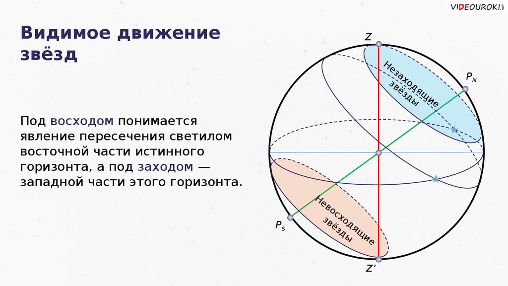 Видимое движение. Видимое движение звезд. Суточное движение звезд. Видимое движение звезд на различных широтах. Видимое движение звезд астрономия.