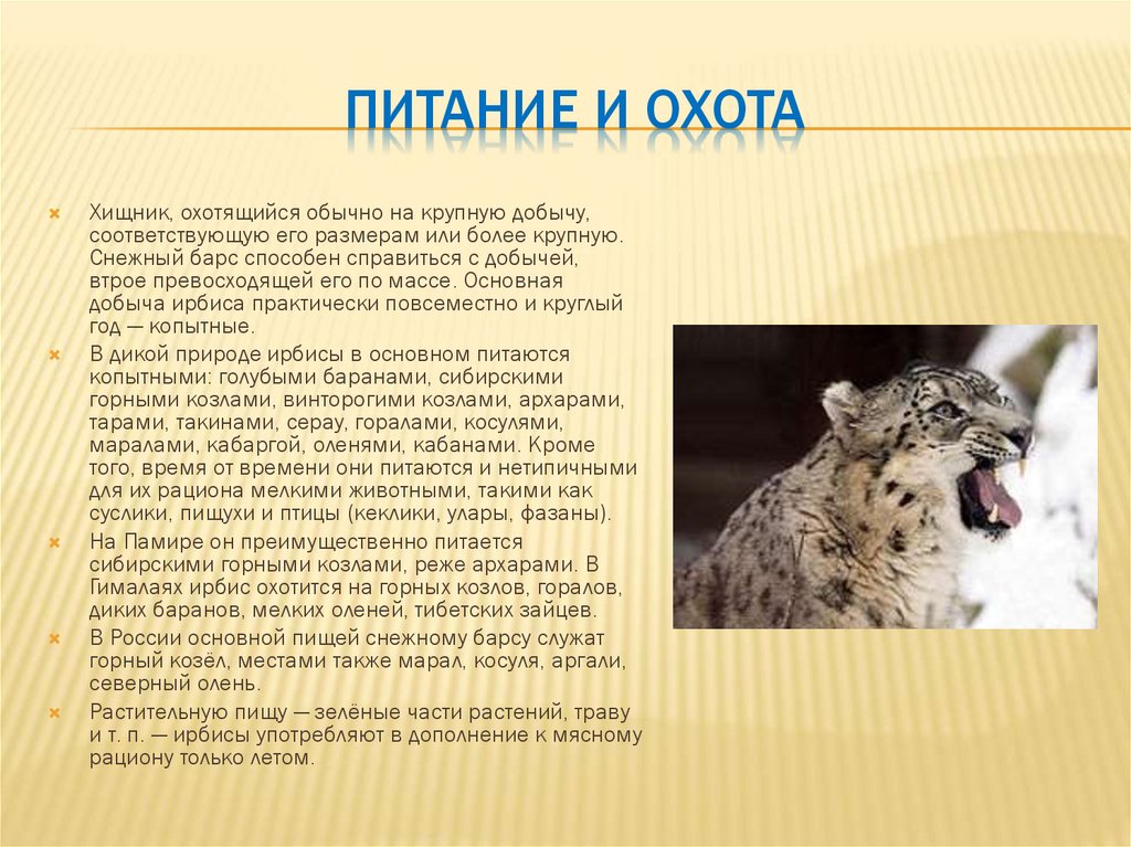 Животные из красной книги татарстана фото и описание для детей 2 класса