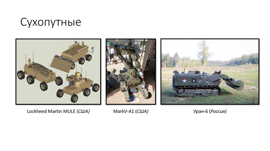 Сухопутные