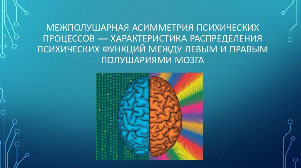 Функциональная асимметрия. Межполушарная асимметрия. Межполушарная асимметрия мозга. Функциональная асимметрия психических процессов. Межполушарная асимметрия у детей.