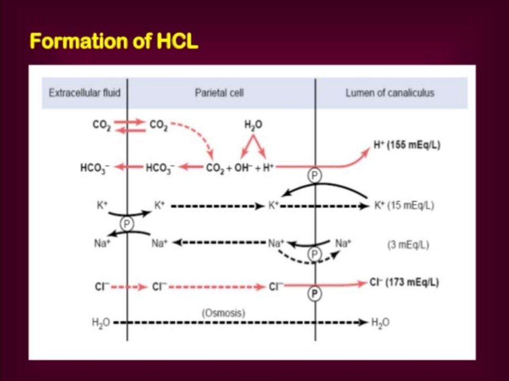 Formation of HCl: