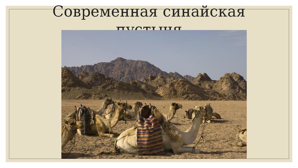 Современная синайская пустыня