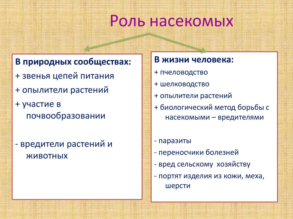 Положительная роль. Роль насекомых в природе и жизни человека 7 класс биология. Значение насекомых в природе и жизни человека 7 класс таблица. Значение насекомых в природе и жизни человека. Экологическая ролт насекомых.