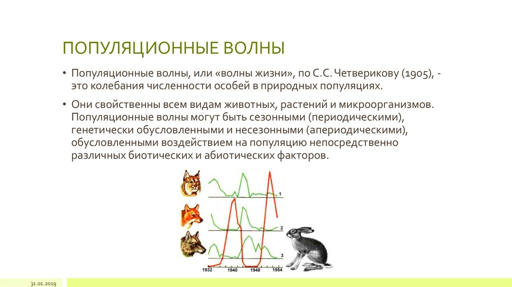 Популяционные волны являются фактором. Популяционные волны, "волны жизни"(с. с. Четвериков) -. Волны жизни популяционные волны. Популяционные волны и дрейф генов. Популяционные волны изоляция.