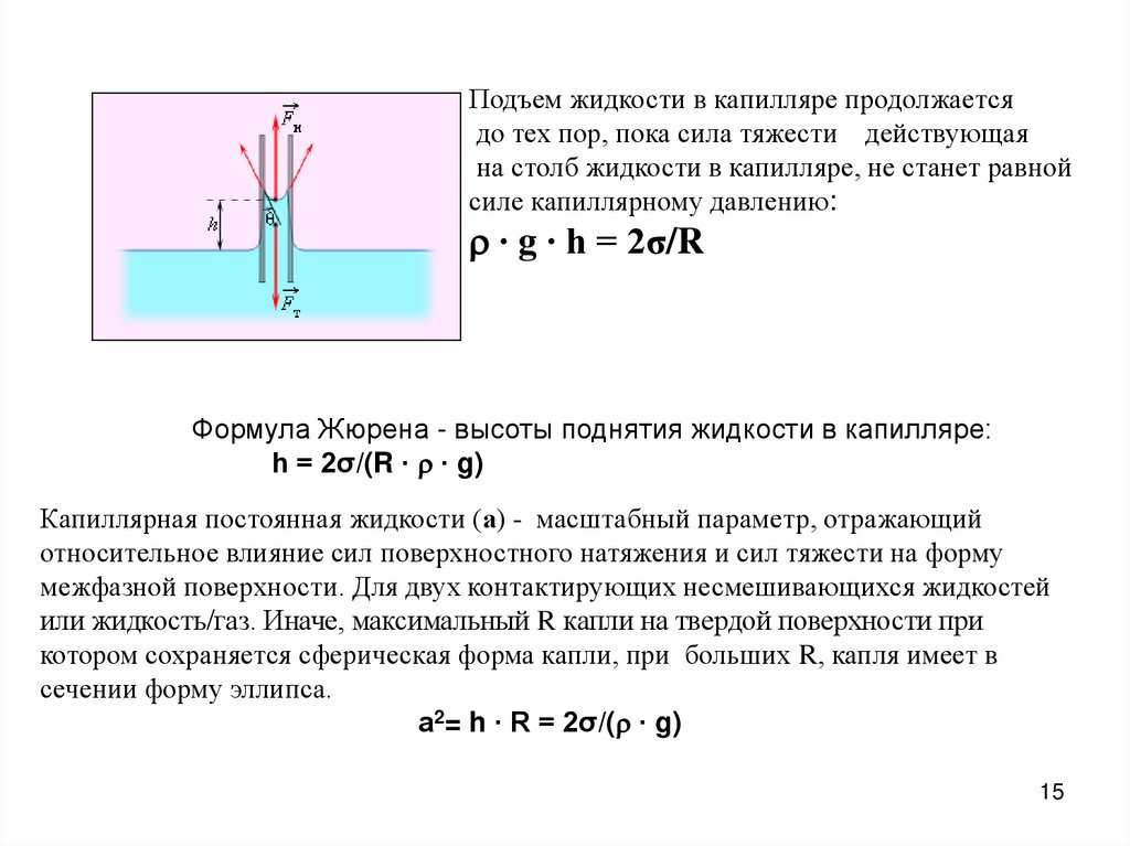 Капиллярная жидкость. Капиллярные явления. Формула Жюрена.. Уравнение Жюрена. Поднятие жидкости в капилляре. Высота подъема жидкости в капилляре.