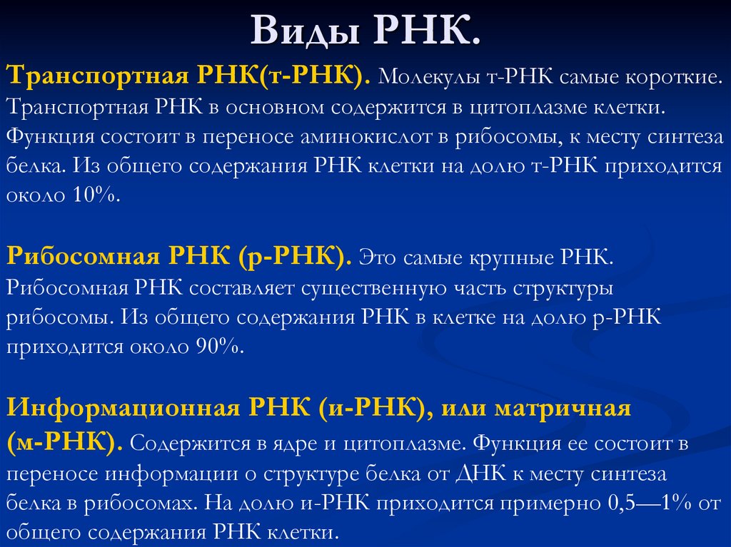 Биологические свойства рнк. РНК строение и функции. Функции ИРНК ТРНК РРНК. Строение и функции ИРНК. Функции разных типов РНК.