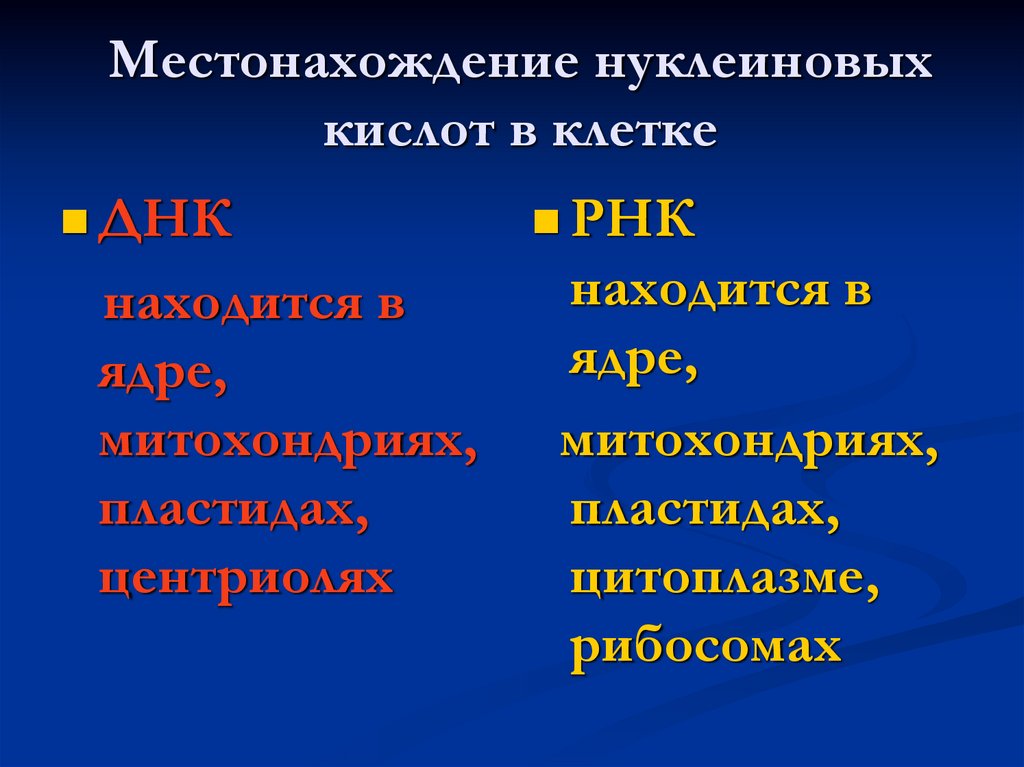 Нуклеиновые кислоты презентация 9 класс биология