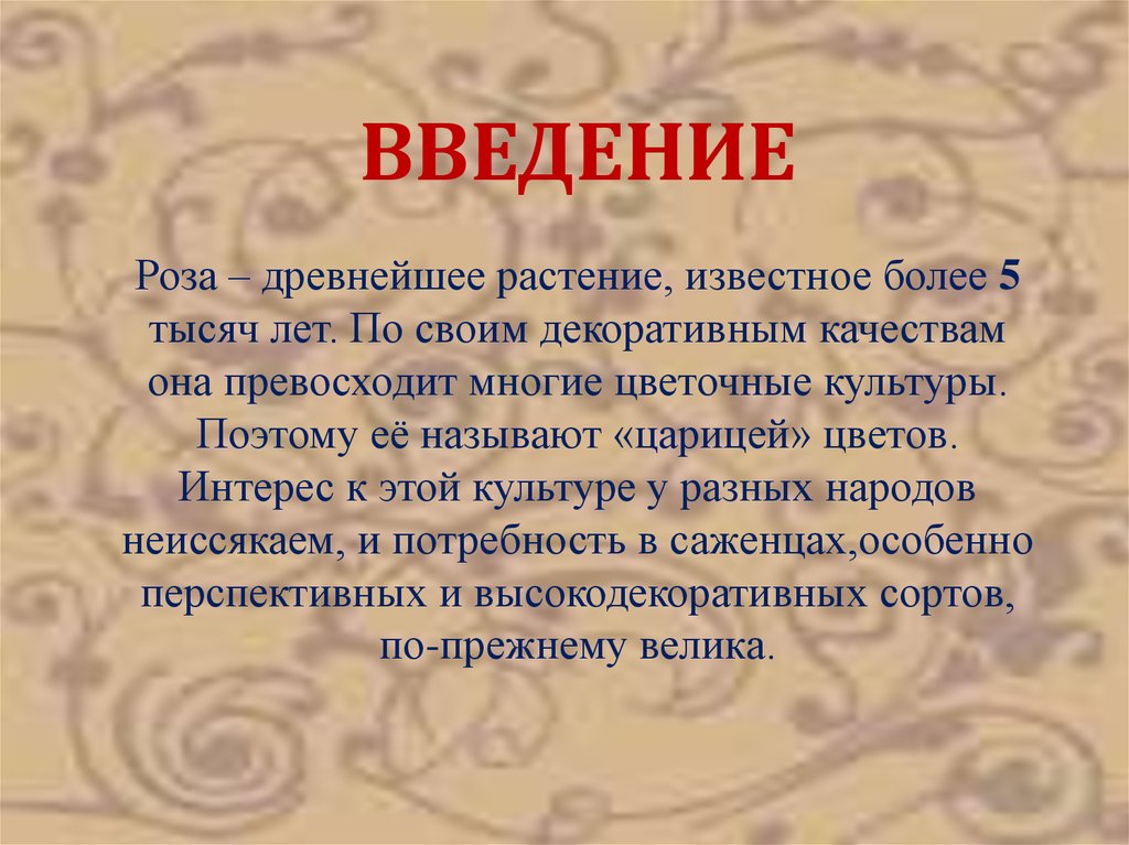 История розы. Возникновение розы. Введение про розы. Розы история происхождения. Проект по тем роза цель.