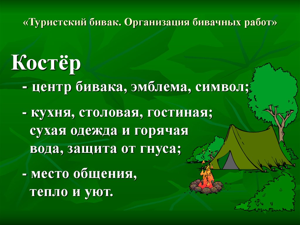 Определенное место. Место для бивака. Планирование бивака. Организация туристического бивака. Место для бивака и организация бивачных.