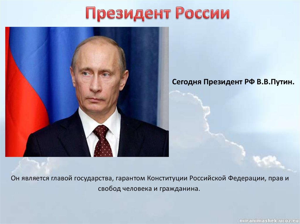 Проект о путине