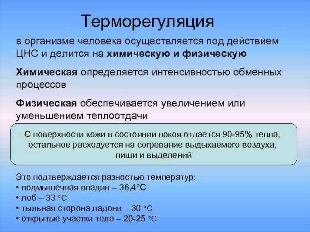 Как осуществляется терморегуляция в организме