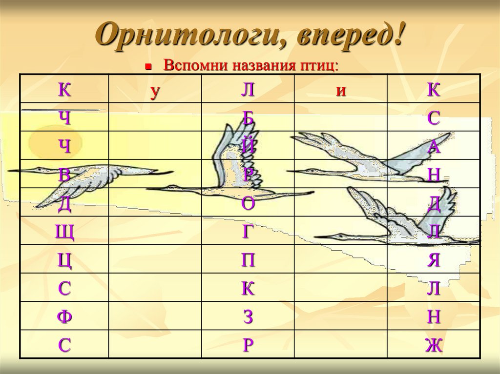 Полевой дневник орнитолога образец