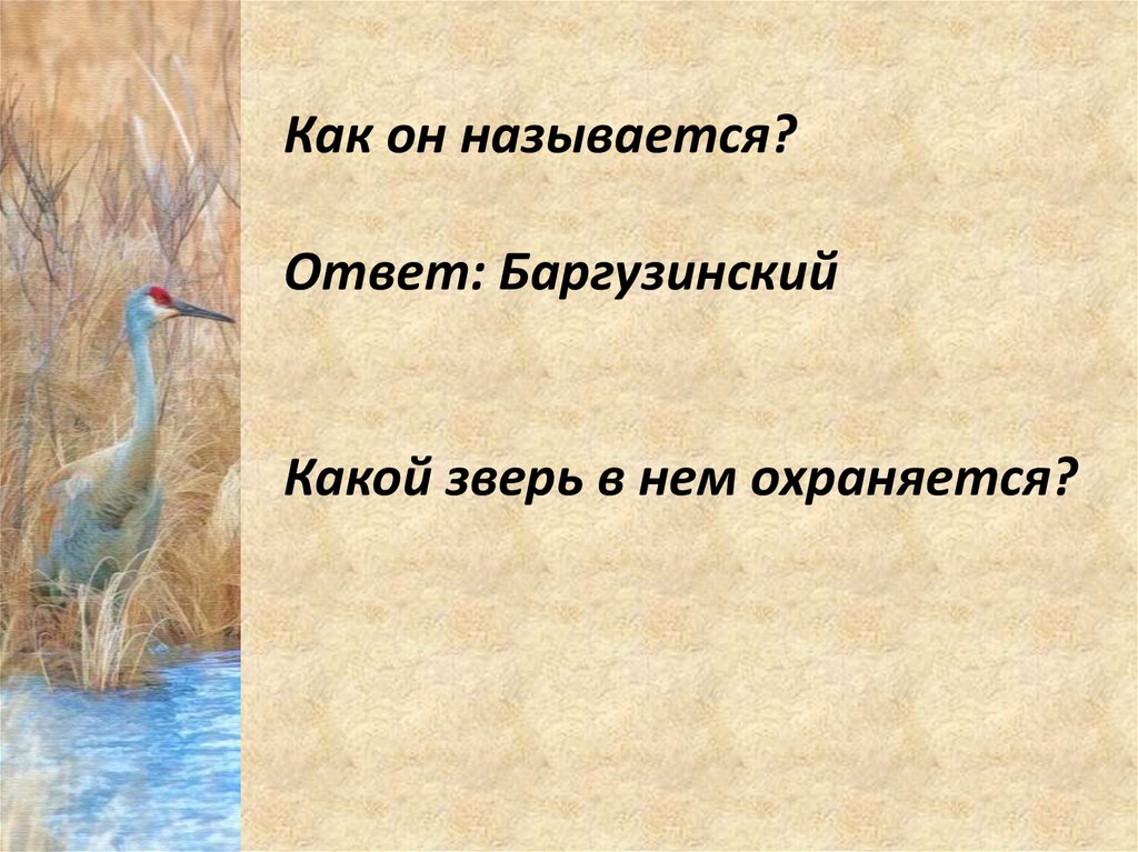 Как называется ответ