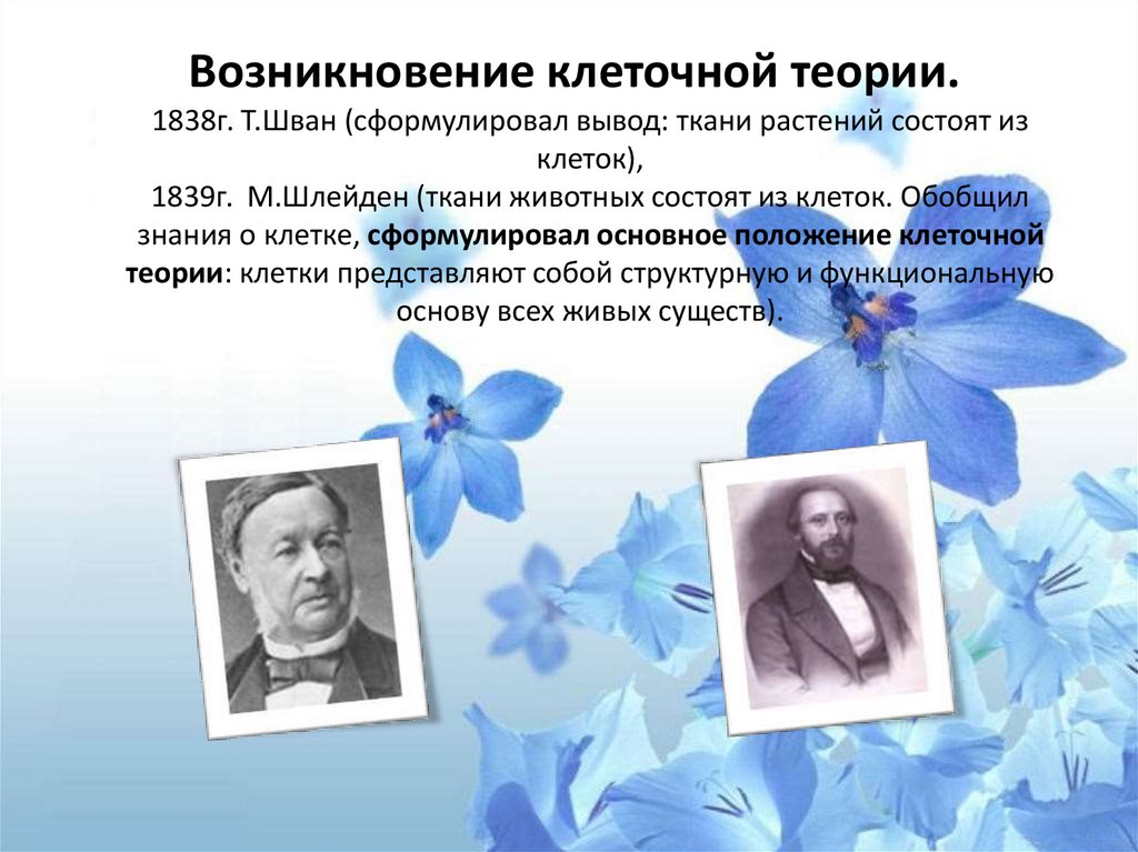 В чем заключается суть клеточной теории. Учение о клетке. Возникновение клеточной теории. Сформулировал клеточную теорию растений. Создатели клеточной теории.