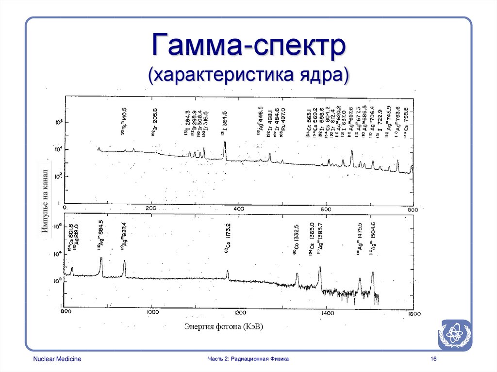 Гамма-спектр (характеристика ядра)