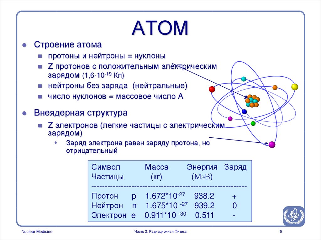 Элементарные частицы входящие в ядро атома