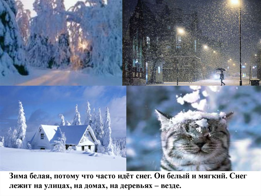 Зима белая, потому что часто идёт снег. Он белый и мягкий. Снег лежит на улицах, на домах, на деревьях – везде.