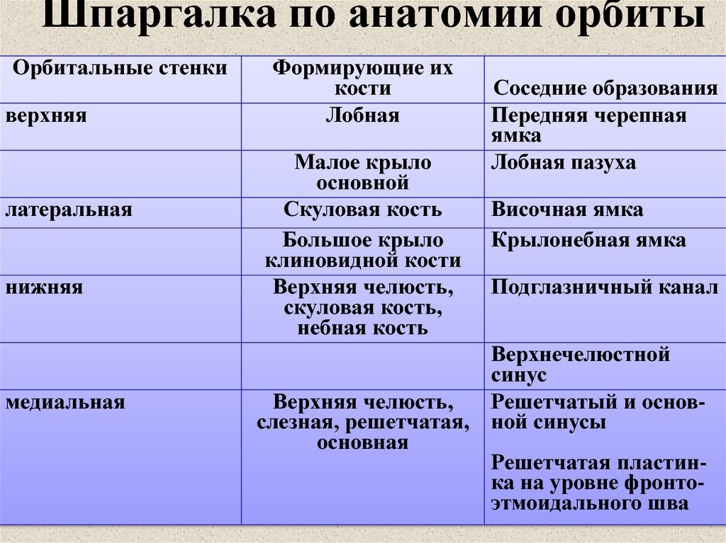 Шпаргалка: Шпаргалка по Анатомии