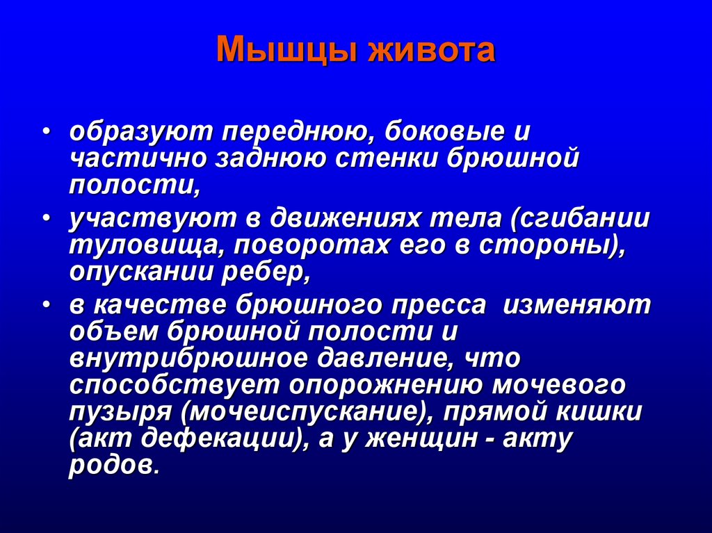 Полость участвовать. Вывод строение мышц.