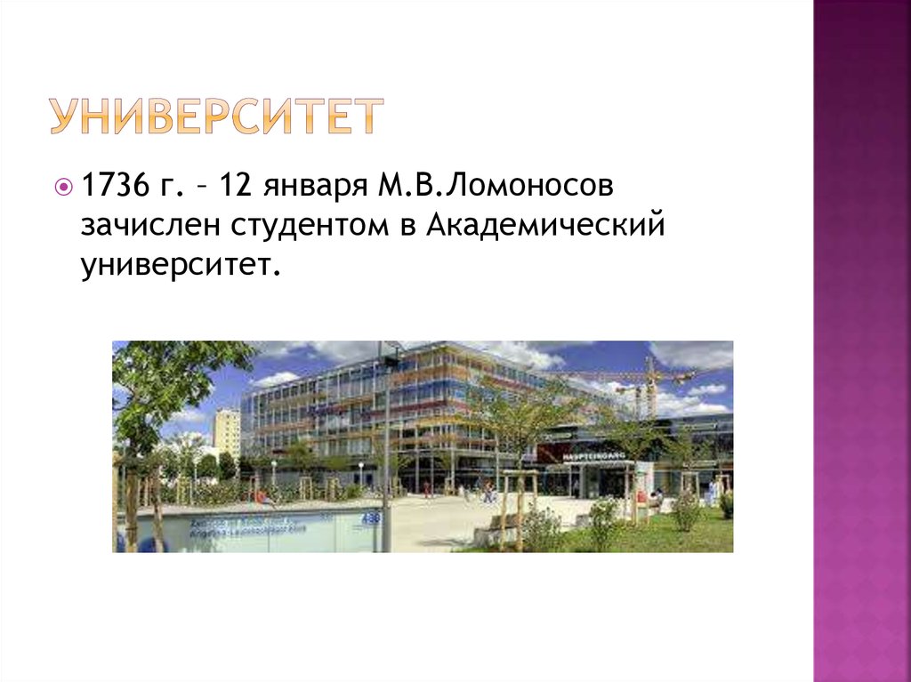 Университет