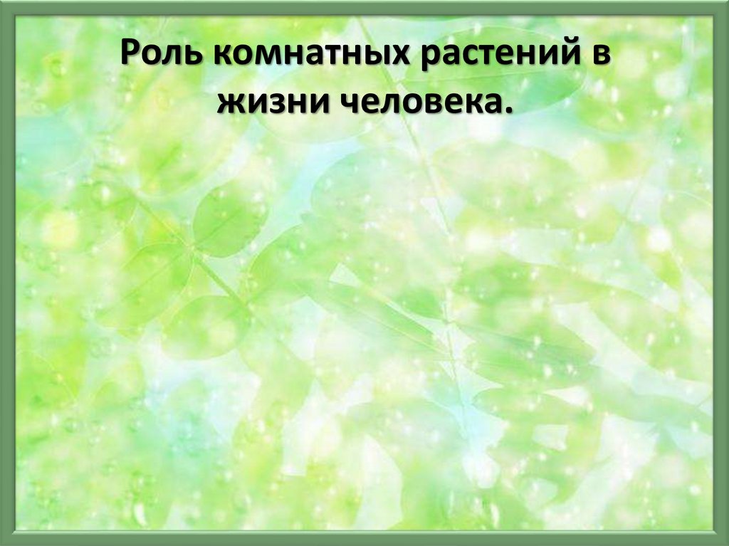 Проект роль комнатных растений в жизни человека