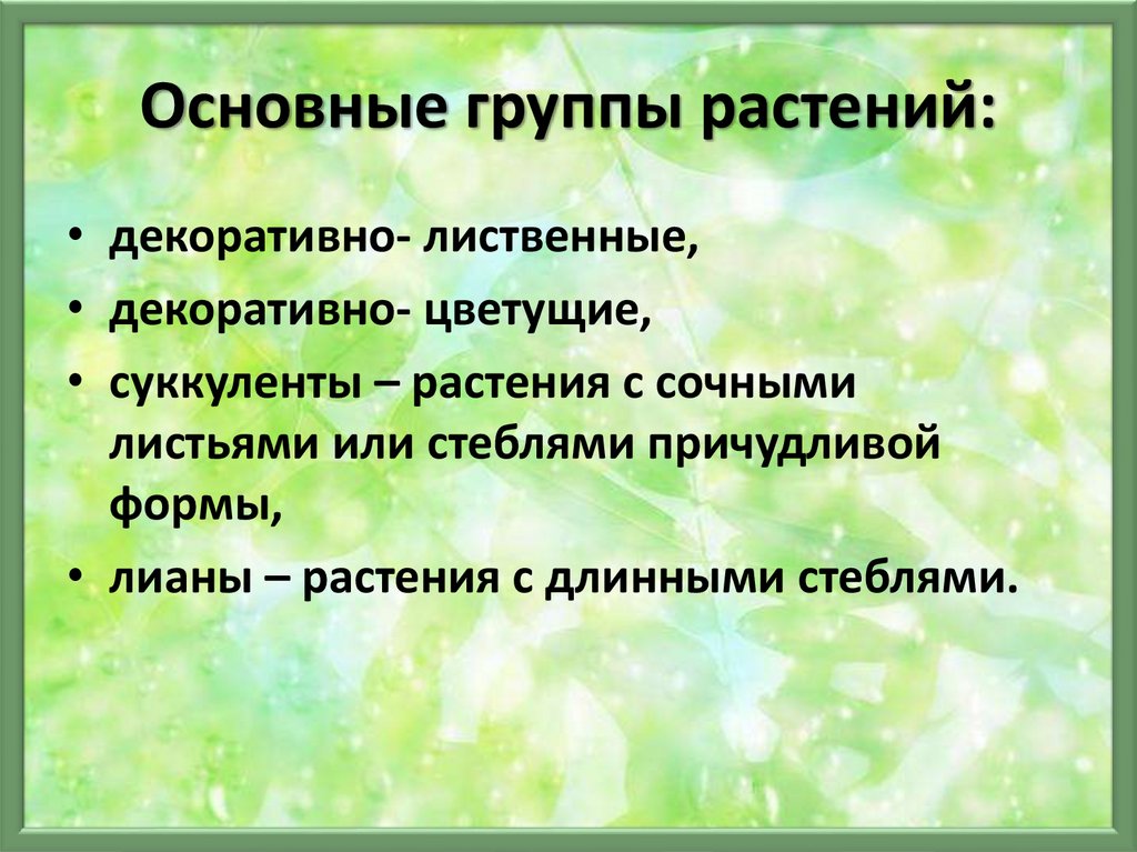 Охарактеризуйте роль в природе. Основные группы растений. Перечислите основные группы растений. Основные крупы растений. Назовите основные группы растений.