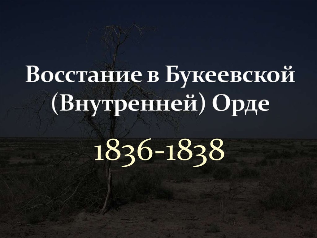 Руководители отряды карателей в букеевской орде