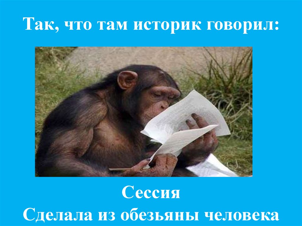 Труд сделал из обезьяны человека. Цитаты для заставки труд сделал из обезьяны человека. Сессия сделала из обезьяны человека. Открытка труд сделал из обезьяны человека.