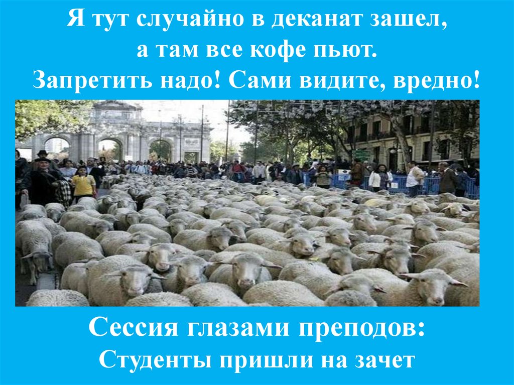 Надо запретить. Сессия глазами преподов. Какое слово надо запретить. Студент зашёл в деканат. Деканат в глазах первокурсников.