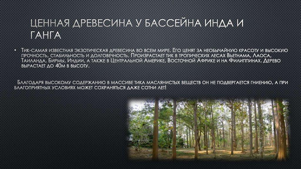 Ценная древесина у бассейна инда и ганга