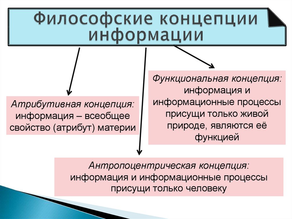 Главная информация. Философские концепции информации. Концепции понятия информации. Основные философские концепции информации. Философский.