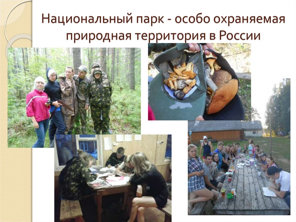 Национальный парк - особо охраняемая природная территория в России