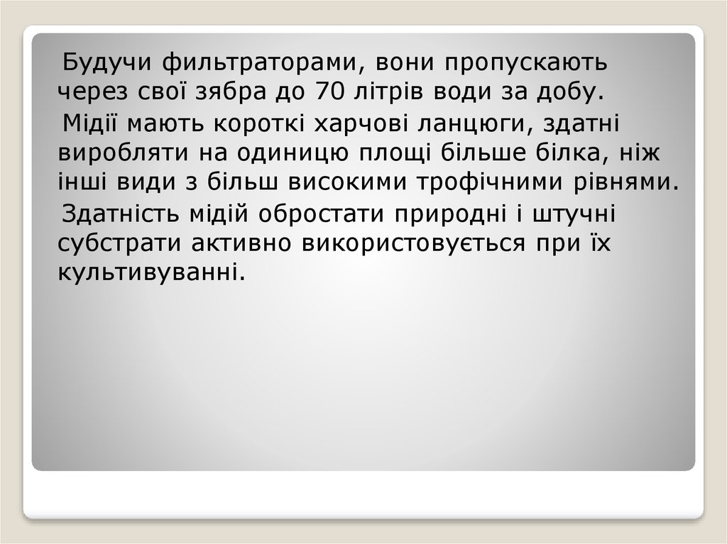 Секретное сообщение. Дети передают секретное сообщение.